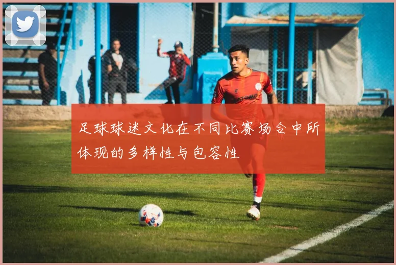 足球球迷文化在不同比赛场合中所体现的多样性与包容性