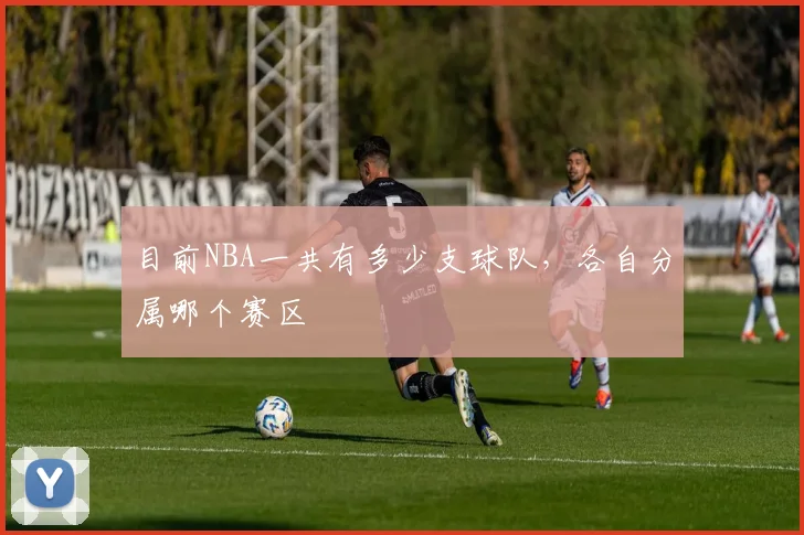 目前NBA一共有多少支球队，各自分属哪个赛区